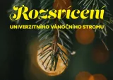 rozsviceniwww124340.jpg