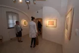 luva3059-86272.jpg