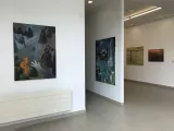 Galerie Univerzity: Aleš Zapletal - Ephemera