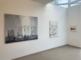 Galerie Univerzity: Anna Neborová - Fragmenty
