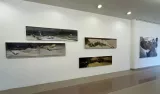 Galerie Univerzity: Zbyněk Sedlecký - Pupeny