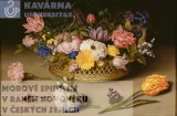 Kavárna Universitas: Morové epidemie v raném novověku v českých zemích