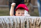 dsc3170114466.jpg