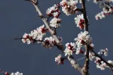 img8355122213.JPG
