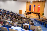 sponze122042.jpg