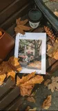 img3390124762.jpeg