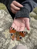 3.příběh přírody