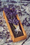 van3ssa-lavender-96808701920136705.jpg