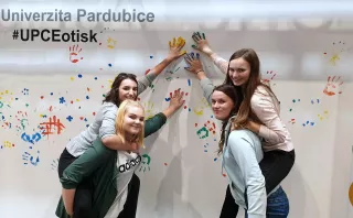 Výchozí alt text