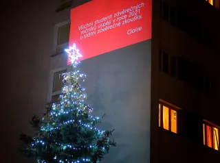 Výchozí alt text