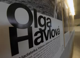 Výchozí alt text